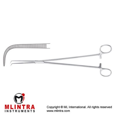 Barre Dissecting and Ligature Forcep Delicate Stainless Steel, 28 cm - 11" Barre Dissecting and Ligature Forcep Delicate Stainless Steel, 28 cm - 11"
